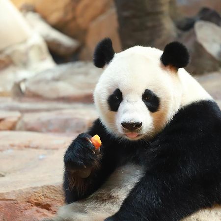 Hilton Chengdu Chenghua - Close To Panda Base And Chunxi Road Экстерьер фото